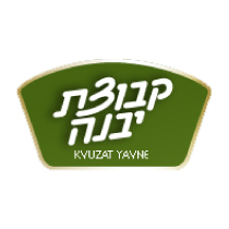 קבוצת-יבנה-210x210